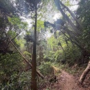 ハイキングツアーを受けたら、想像以上にハードな行程で真っ青になっている