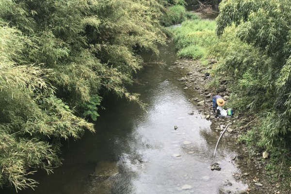 房総爆釣日記 アユ釣り