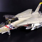 Go Navy! (乙)