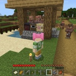 ひよこのマイクラ日記