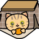 連日、最高値を更新する日本株市場☆