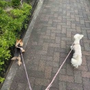 微妙