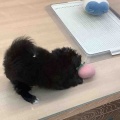 🧡カメラに向けて🧡