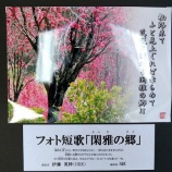 『第6回舞川の風物写真展「写真で見る私の好きな舞川」』の画像