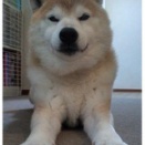 ひんやりしてて気持ちいい
