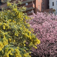 母の執念で晴れた日(笑)♪