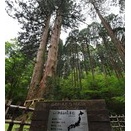 御岩神社