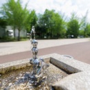 水道水飲んでる←これw