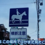 偏気庵のtosoyan。今日も暢気だ。