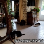 ソワレが要らないフランス暮らし
