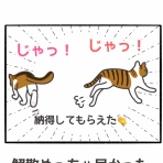 NEKOISM 〜ネコがたくさんいる暮らし〜