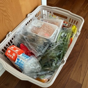10月第3週目食材まとめ買い＆今週の献立予定 : まりえの日日是節約
