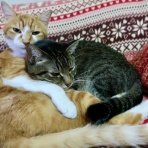 だいじろう日和。