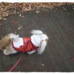 いつまでも一緒だよ♪