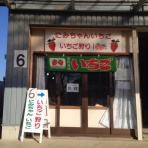 にみちゃんいちご