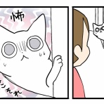 くららんち。～B型夫婦と猫２匹の日常～
