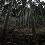 心霊-都市伝説ナビ-