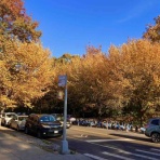 ニューヨーク最新情報。今日のNYを完全実況生中継でお伝えします!!!