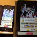ウマ娘が紡いでくれた白猫の縁