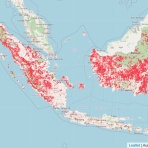 山暮らしの日々