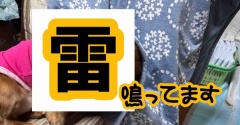 遠くで雷。