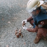 『対人地雷・不発弾の回収』の画像