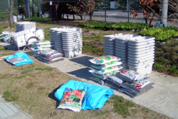 ゆ なちゃん日記 菜の花プロジェクト