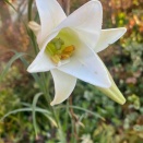 いろんなことが起こるから楽しい日々