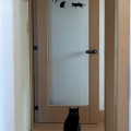 すみれちゃん　目は良く見えるね