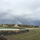 ダブルレインボーを何度も見た事あります（なかなか見られないって話ですが）視力がいいと見られる？