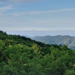 ７Ｋ１ＳＪＭ／頑固で偏屈なヤマヤ