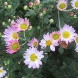 『求めよさらば与えられん』の画像