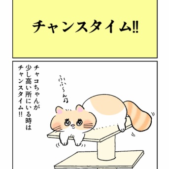 チャンスタイム‼︎