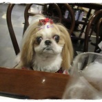 いつまでも一緒だよ♪