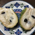 南の島でのんびりライフできるかな