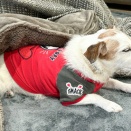 身近なニュース