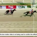 【競馬】コリアC連覇のクラウンプライドが引退　韓国で種牡馬入りへ(無償で譲渡)