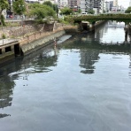 名古屋界隈諸々のできるまで