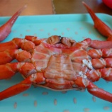 ¡Ø¡Ú¤ª½Ð³Ý¤±¡¦¿·Ì«»Ô¡Û¿©ºàĴã¤Î¤Ä¤â¤ê¤¬¡Ö¥«¥Ëľ¹Ô¡×¡ª¿·Ì«¤ÇÆÃÂç¥Ù¥Ë¥º¥ï¥¤¥¬¥ËÇú¿©¤ÎÃë¿©¡Ù¤Î²èÁü