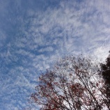 『上野、浅草の空』の画像