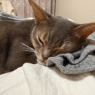 パジャマの上着取られちゃった(*´ω`*)