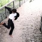 『Pei Chan　in  大池　１０』の画像