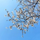 父が帰ってきた♪