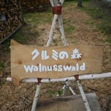 『「クルミの森」看板作成と「薪で創る薪小屋」その後』の画像