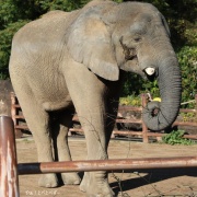 砥夢くんに会いに行ってきた2025