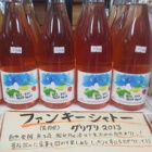 �إե��󥭡�����ȡ����ꥰ��2013�٤β���