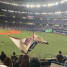 今年最初の京セラドーム大阪遠征！