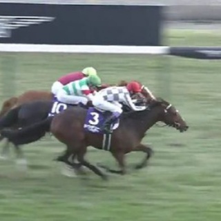 競馬総合まとめ速報