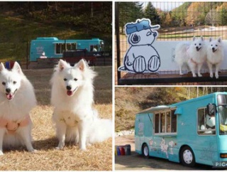 犬連れて オーソルヴェール軽井沢倶楽部ドッグパーク&スパイクカフェ