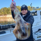 ティップラン。